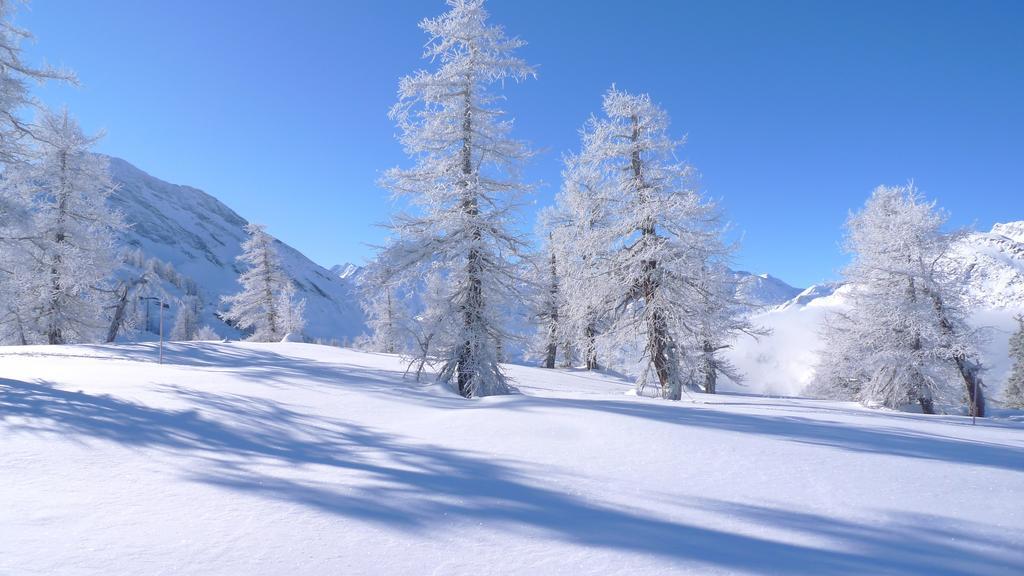 Berggasthaus Wasenalp Brig Kültér fotó